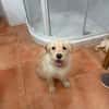 HAPPY (Martina)