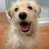 HAPPY (Martina)