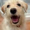 HAPPY (Martina)
