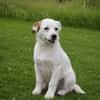 Sissy sucht ihre Familie
