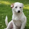 Sissy sucht ihre Familie