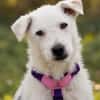 Nelly- sucht ihr Happyend