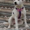 Nelly- sucht ihr Happyend