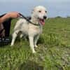Nelly- sucht ihr Happyend