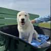 Nelly- sucht ihr Happyend