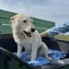 Nelly- sucht ihr Happyend