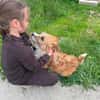 Tommy 43 cm 5-6 Jahre