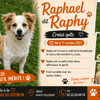 RAPHAEL