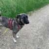 Lebensfrohe Lucy