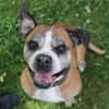 Conny superliebe Seniorin