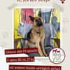 Ronja sucht ein Zuhause / Pflegestelle