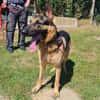 ULYSSE