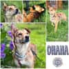 OHANA * Mit Eifer und Freude ins Leben