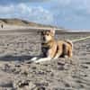 Polly sucht ihren sicheren Hafen