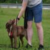 Lola sucht sportliche Menschen