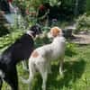 Luna eine tiefenentspannte Lady