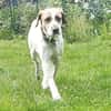 Luna eine tiefenentspannte Lady
