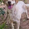Luna eine tiefenentspannte Lady