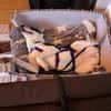 aktive hübsche Panda auf PS 90768