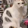 Liebe Fleki sucht ihre Familie