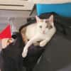 Liebe Fleki sucht ihre Familie