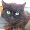 CACHEMIR