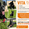 VITA