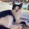 Entspannte Viona sucht ruhiges Zuhause