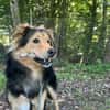 Buzz sucht ein geduldiges Zuhause