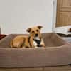 Glücksgefühl gesucht für Tammy
