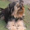 Unser Schnuckelchen TOBY