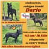 💙Dario💙 sucht seine Familie