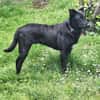 💙Dario💙 sucht seine Familie