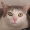 TSUKI