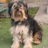 Unser Schnuckelchen  TOBY