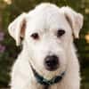 Nelly- sucht ihr Happyend