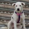 Nelly- sucht ihr Happyend
