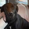 Monty, Lakritznase sucht ♥