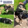 NANDO -ruhig, entspannt & bescheiden-