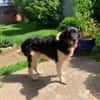 NANDO -ruhig, entspannt & bescheiden-