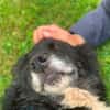 NANDO -ruhig, entspannt & bescheiden-