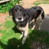 NANDO -ruhig, entspannt & bescheiden-