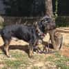 Moro sucht ein Zuhause