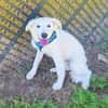 Josi ein liebes Mädchen