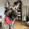 Charmante Lenda sucht dich