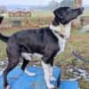 Lars - der Temperamentvolle sucht Geduld