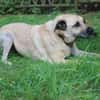 Ares, su. liebevolles Zuhause