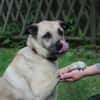 Ares, su. liebevolles Zuhause