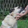 Ares, su. liebevolles Zuhause