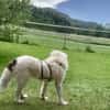 HANNA -Freundlich, clever & aufgeweckt-